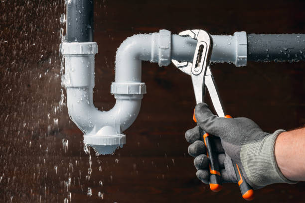 Professional Plumbing technician working in Ridgely, MD